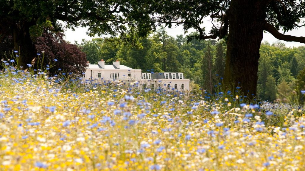 Guide to Windsor and Ascot: where to stay, where to eat and best things to do