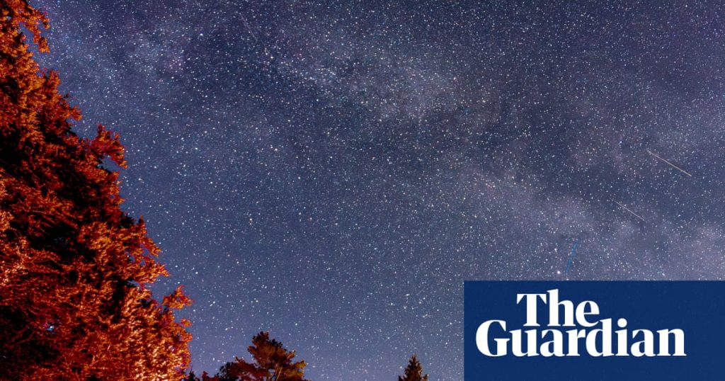 Stargazing in the Lake District: a new forest observatory opens in Grizedale | Lake District holidays