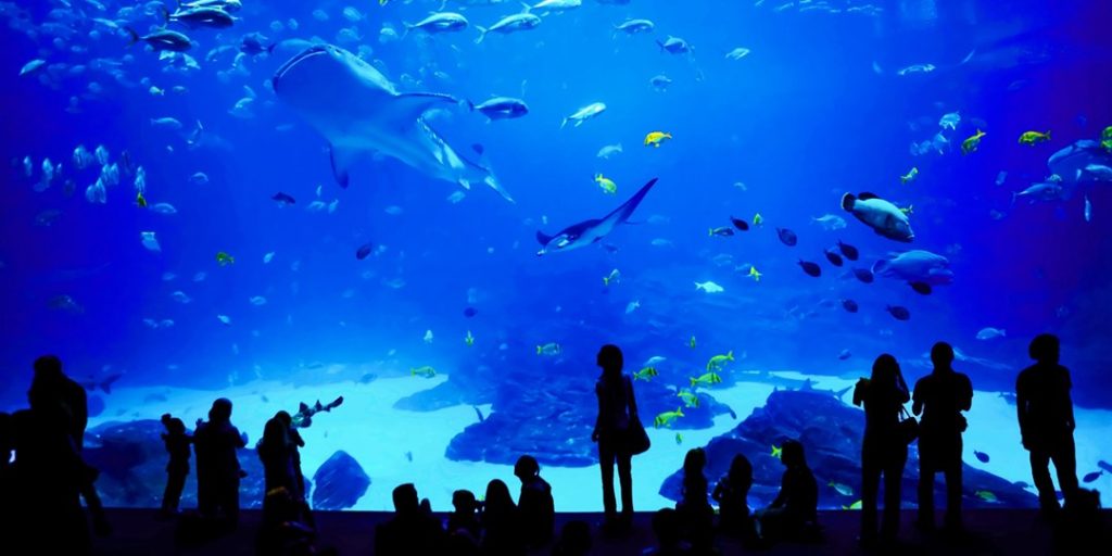 Save 20% -- Philadelphia Zoo admission