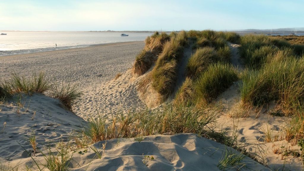 The Hamptons, But Make It British: An Ode to West Wittering in Sussex