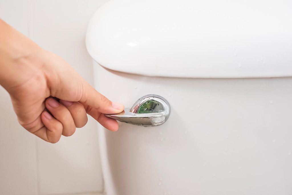 Why You Should Flush the Toilet When You Enter a Hotel Room