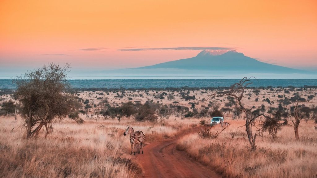 Here’s How To Pick Your Next African Destination