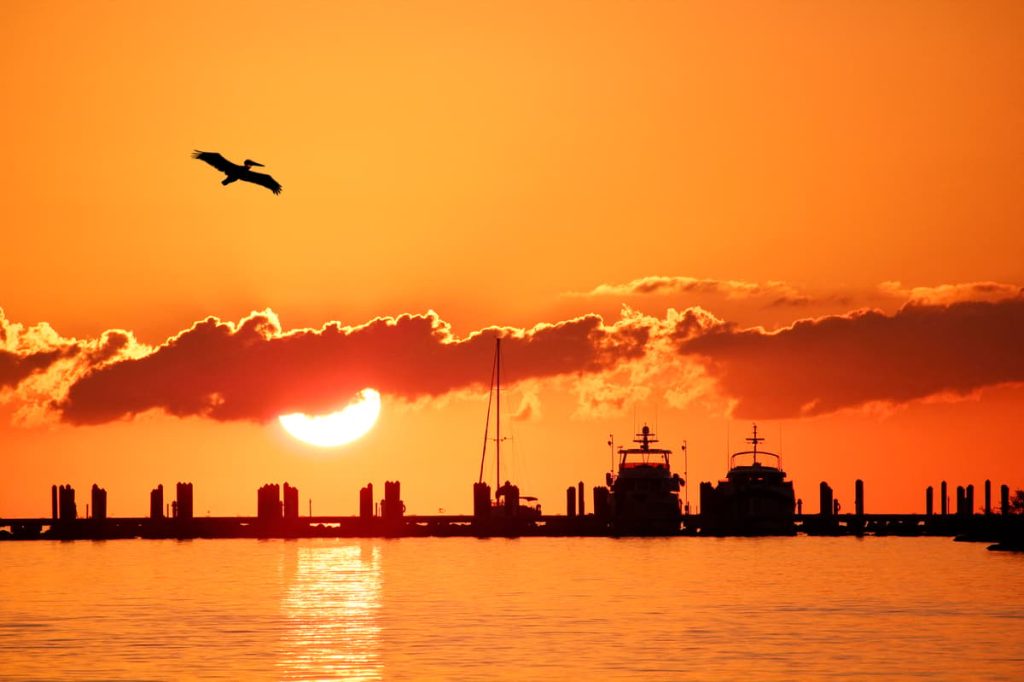 Miami to Key West: Driving the Overseas Highway through the Florida Keys
