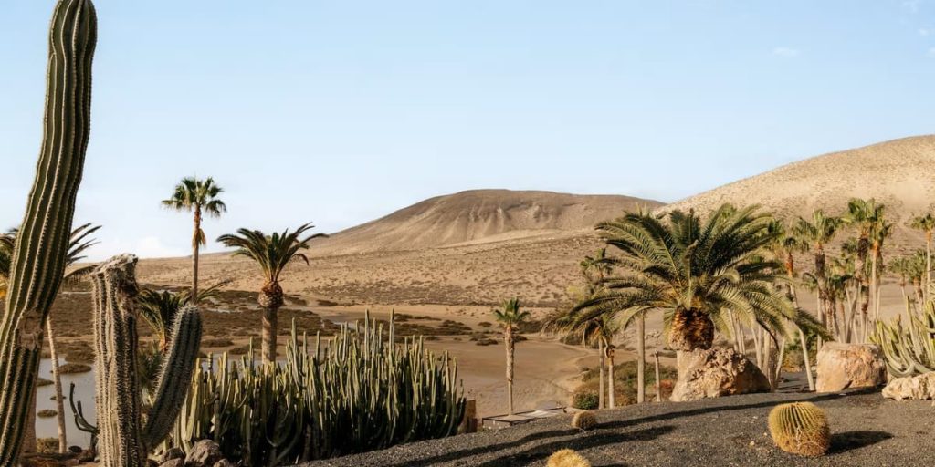 Volcano hiking before sunset cocktails: discover two sides to a Canary Islands holiday