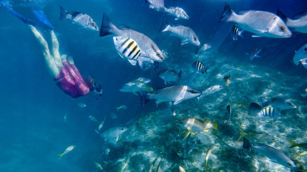What Scuba Diving and Breathwork Taught Me About Staying Calm Under Pressure